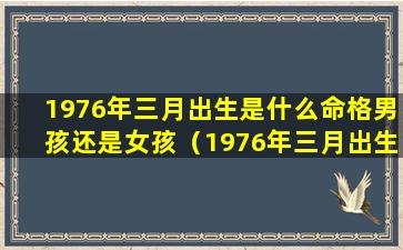 1976年三月出生是什么命格男孩还是女孩（1976年三月出生是什么命格男孩还是女 🌸 孩好）